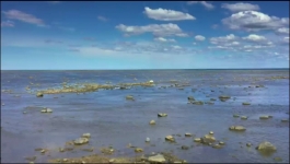 Predators - Season 01 Episode 02